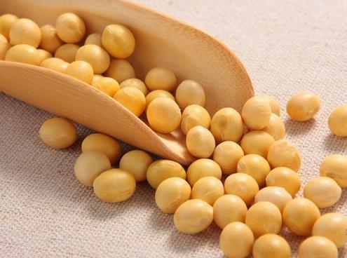 白领经常加班都吃这些食物_白领经常加班都干嘛