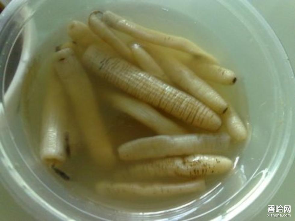 泉州小吃大全_泉州特色小吃美食介绍_泉卅小吃