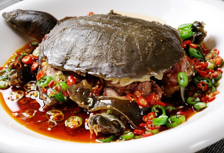 肉质细嫩Q弹鲜美营养丰富的红烧甲鱼的做法