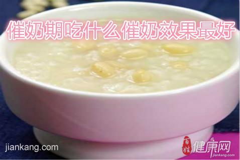 催奶期吃什么催奶效果最好