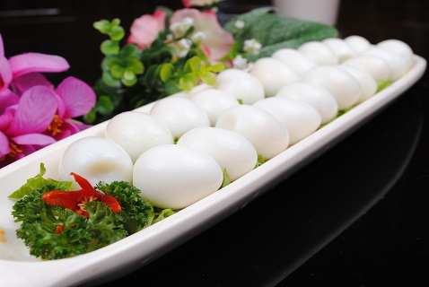 一岁宝宝不能吃鹌鹑蛋吗(一岁宝宝不能吃什么)