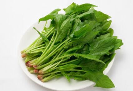 1岁小孩能吃菠菜吗？盘点1岁小孩不能吃的10种食物(1岁小孩能吃菠萝炒饭吗)
