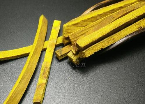 黄柏的功效与作用