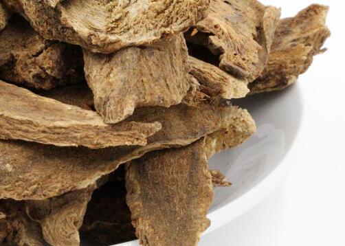 木香的功效与作用