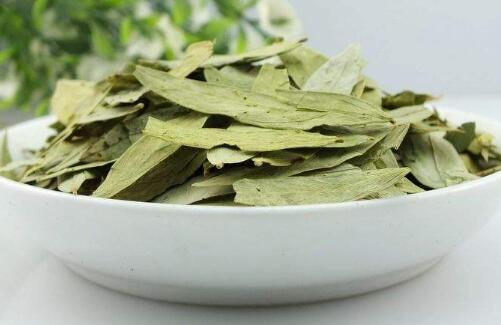 番泻叶的功效与作用