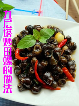 浅谈田螺怎么做好吃之九层塔炒田螺的做法