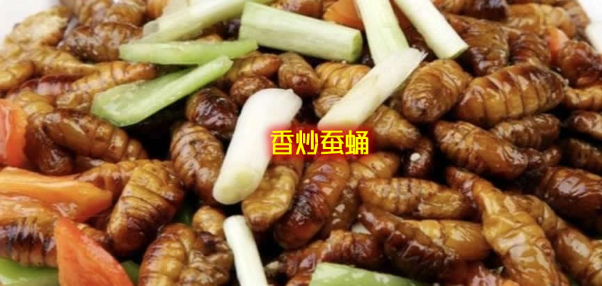 不仅味道鲜美而且营养丰富的蚕蛹的家常做法