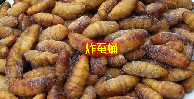 不仅味道鲜美而且营养丰富的蚕蛹的家常做法