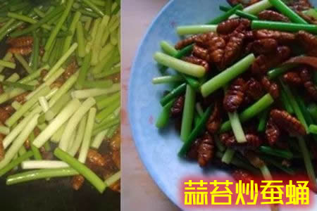 不仅味道鲜美而且营养丰富的蚕蛹的家常做法
