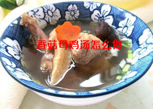 简单又味道营养面面俱到的香菇母鸡汤怎么做