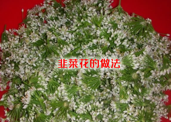 生津开胃，增强食欲，促进消化的韭菜花的做法大全
