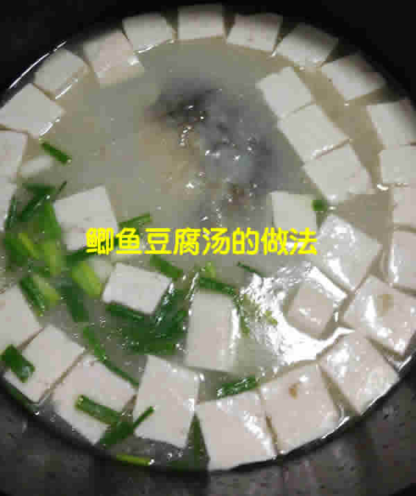 汤汁奶白鲜美浓郁的鲫鱼豆腐汤怎么做好吃