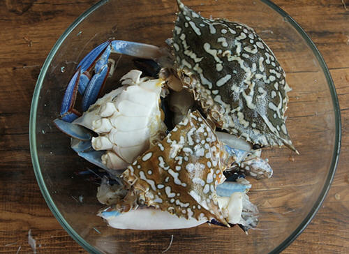 家常螃蟹粉丝煲，粉丝充分的吸收了螃蟹鲜美的味道