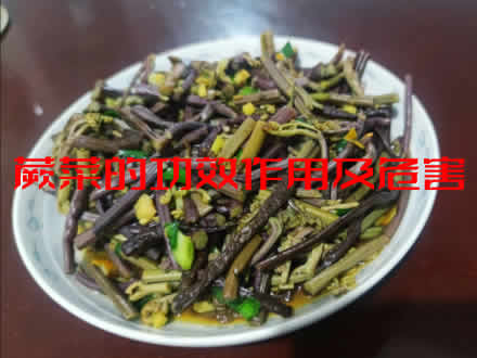 蕨菜的功效作用及危害，蕨菜怎么做好吃