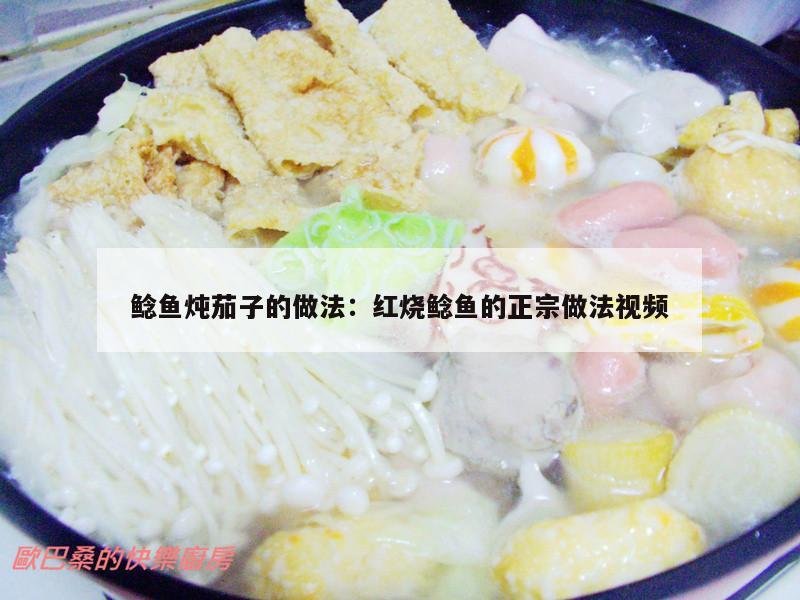 鲶鱼炖茄子的做法：红烧鲶鱼的正宗做法视频