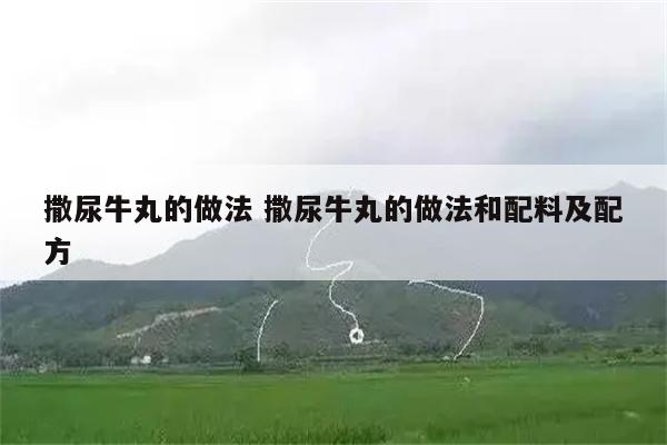 撒尿牛丸的做法 撒尿牛丸的做法和配料及配方