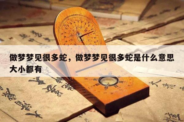 做梦梦见很多蛇，做梦梦见很多蛇是什么意思大小都有
