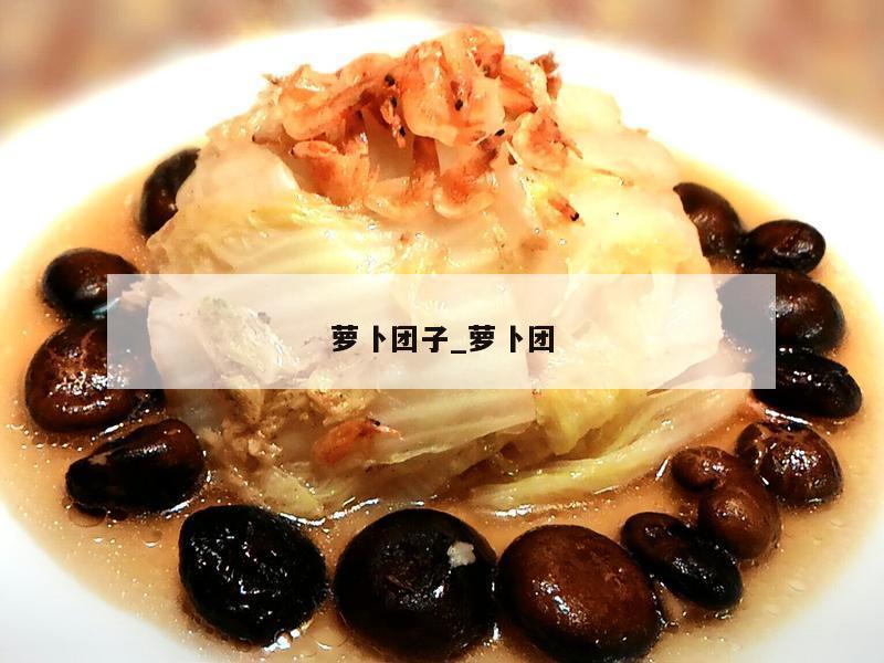萝卜团子_萝卜团
