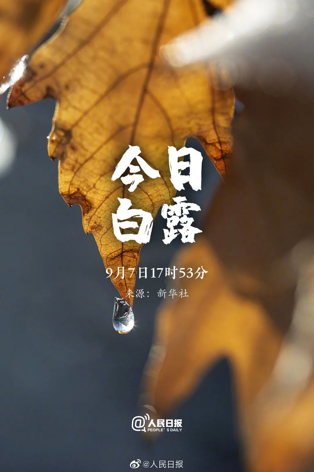2020年白露在什么时间几点几分，2021年白露几点几分几秒