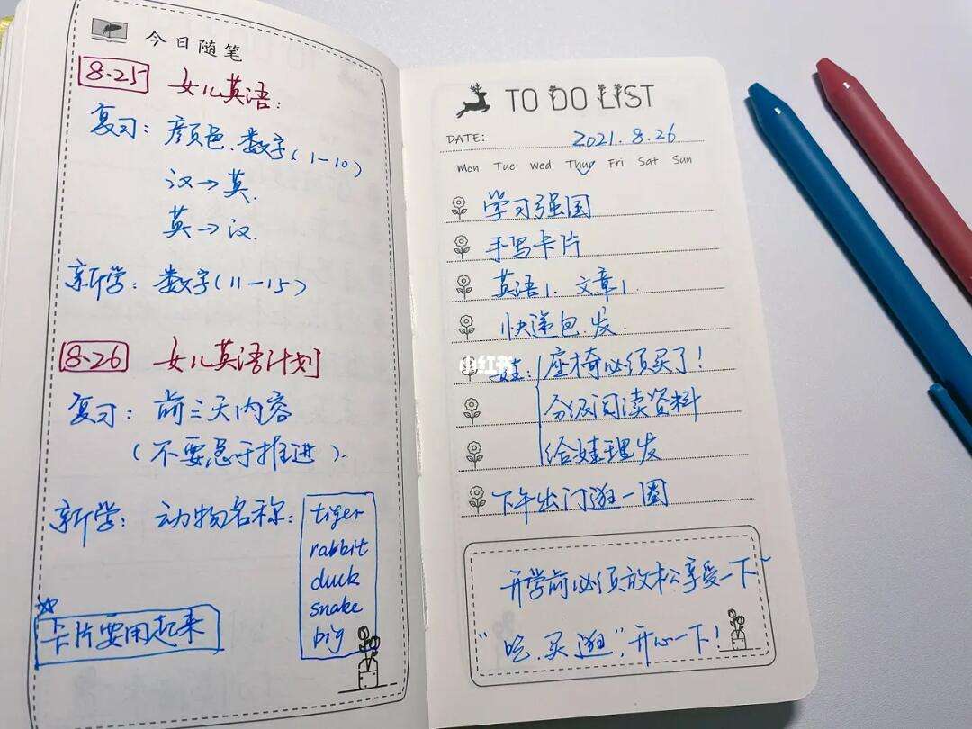 8.26是什么日子（2021826是什么日子）
